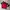 Puma Sportswear Windbreaker Pria red photo 3
