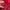 Oakley Gorpcore Pria red photo 8