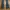True Religion Vintage Streetwear Flare pants Wanita blue photo 3