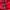 New Balance Streetwear Sportswear Windbreaker Pria red photo 6