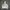 Nike Streetwear Sportswear Hoody Pria white blue photo 4