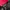 Gorpcore Track jacket Wanita red black photo 5