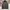 Streetwear Y2K Windbreaker Pria multicolor photo 1