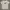Streetwear T-shirt Pria White