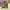 Streetwear Y2K Windbreaker Pria multicolor photo 1