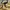 Converse Streetwear Y2K Windbreaker Pria cream photo 5