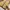 Converse Streetwear Y2K Windbreaker Pria cream photo 4