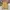 Converse Streetwear Y2K Windbreaker Pria cream photo 2