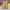 Converse Streetwear Y2K Windbreaker Pria cream photo 1