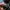 The North Face Gorpcore Sportswear Tracksuit Pria green tan photo 4