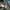 The North Face Gorpcore Sportswear Tracksuit Pria green tan photo 5