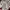 Lee Vintage Streetwear Casual pants Pria white gray photo 3