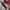 Lee Vintage Streetwear Casual pants Pria white gray photo 5