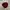 Casual Sweatshirt Pria burgundy photo 3