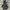 Bang Bang Jeans Gorpcore Casual Puffer jacket Pria gray photo 3