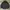 Japanese brand Sportswear Casual Windbreaker Pria black photo 1