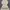 Japanese brand Fairy Coquette Cardigan Wanita white cream photo 6