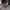 Y2K Avant Garde Hoody Pria gray photo 4