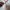 Human Made Vintage Y2K T-shirt Pria white photo 7