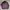 Streetwear Casual Windbreaker Pria Purple Black