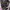 Streetwear Casual Windbreaker Pria purple black photo 3