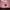 MLB Streetwear Sportswear Hat Wanita pink photo 5