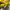 Vintage Sweatshirt Pria yellow photo 5