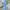 Y2K Wanita white blue photo 1