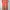 Batik Babydoll dress Wanita orange photo 2