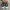 Puma Streetwear Sneakers Wanita white black photo 4