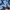 Fila Luxury Track jacket Pria navy blue photo 4