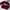 GAP Casual Sweater Kids burgundy photo 1