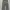 Rolling Stones Biker Casual Pria gray photo 7