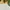 H&M Minimalist Casual Crop top Wanita cream photo 3