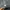 ZARA Avant Garde Casual Harrington jacket Pria multicolor photo 7