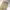 Dickies Streetwear Y2K Casual pants Pria cream photo 5