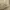 Dickies Streetwear Y2K Casual pants Pria cream photo 1