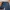 Dickies Streetwear Short Pria navy photo 2