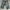 Levi's Vintage Y2K Dungaree Pria navy photo 3