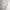 Sportswear Casual Windbreaker Wanita white photo 2