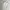 Sportswear Casual Windbreaker Wanita white photo 1