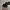 New Era Streetwear Skater Hat Pria green black photo 2