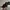 New Era Streetwear Skater Hat Pria green black photo 1