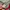 Ocean Pacific Streetwear Sportswear Windbreaker Pria red photo 8
