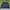 Nautica Vintage Windbreaker Pria navy yellow photo 4