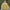 Nautica Vintage Windbreaker Pria navy yellow photo 2