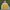 Nautica Vintage Windbreaker Pria Navy Yellow
