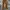 GAP Vintage Casual pants Pria brown photo 1