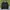 Covernat Vintage Bomber jacket Pria black photo 1