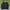 Covernat Vintage Bomber Jacket Pria Black
